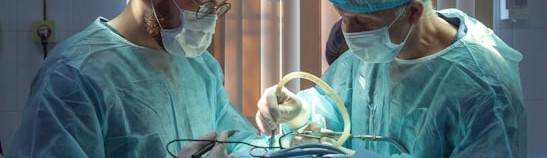 Professional dental health care